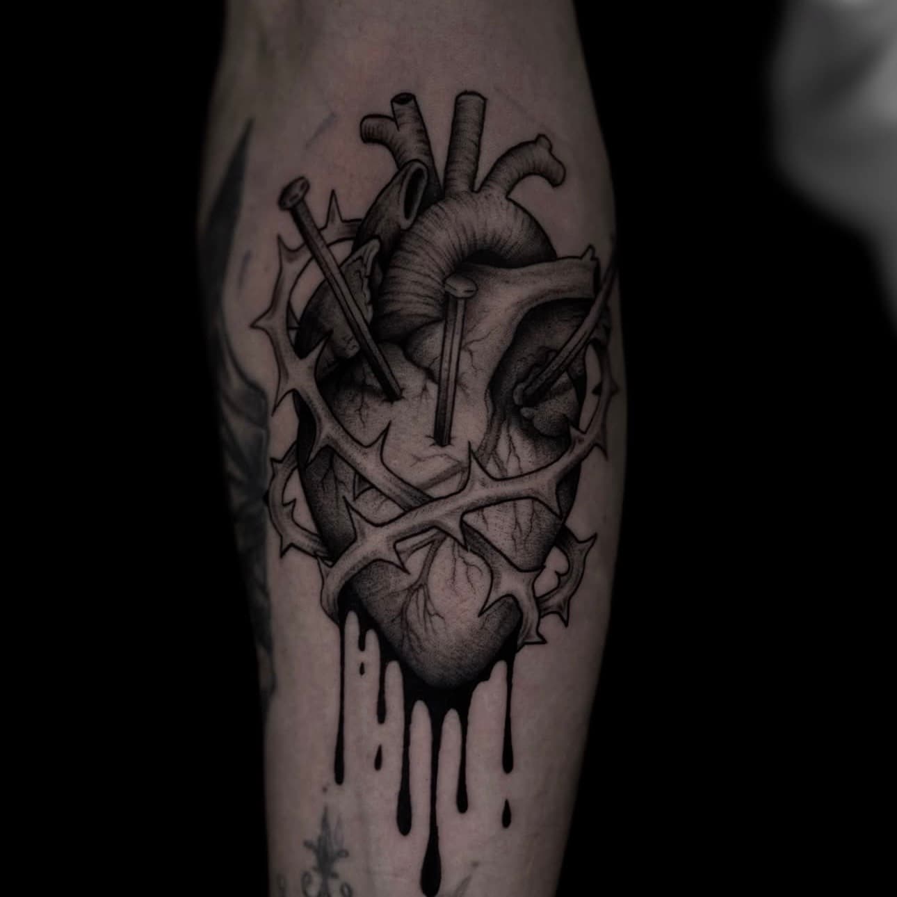 Tatuaje de corazón anatómico con clavos y zarzas en blackwork